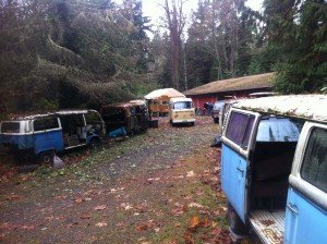 1415640_668809589819489_1155912616_n