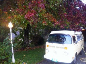 1464966_668809453152836_1181020505_n